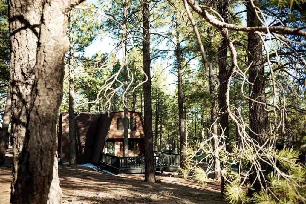 Grand Canyon Cabin! One Hour And 10 Minutes To The South Entrance! Williams Exteriör bild