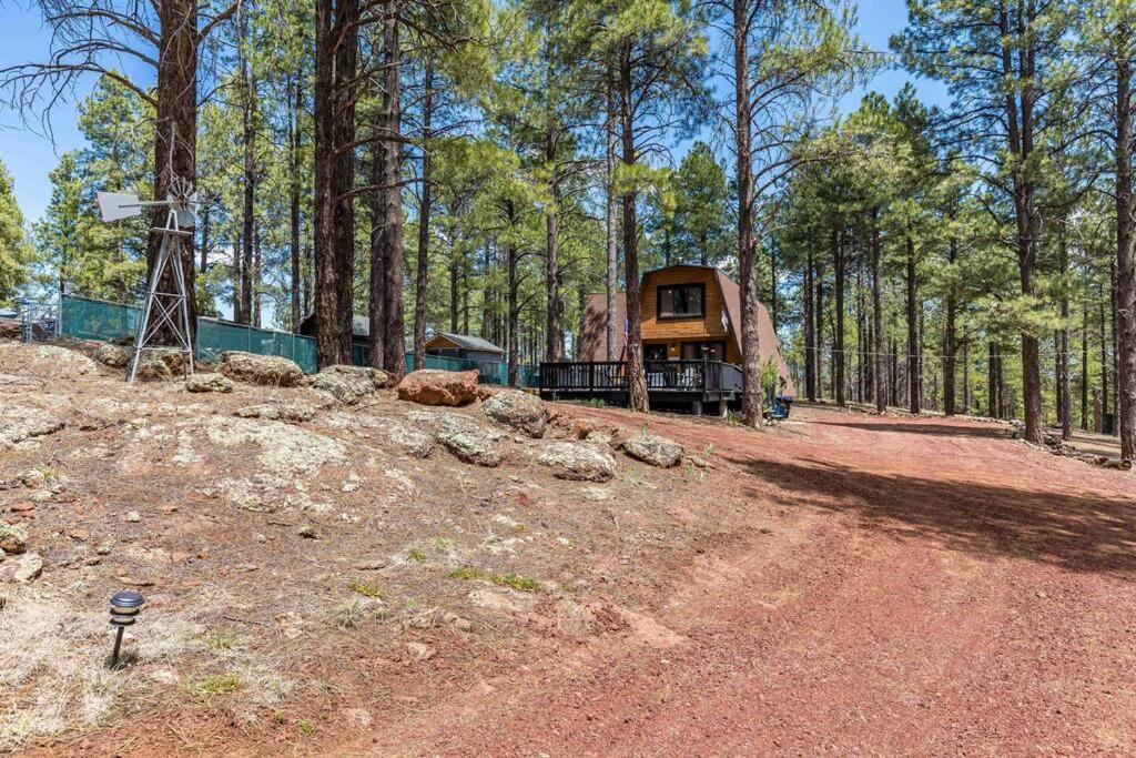 Grand Canyon Cabin! One Hour And 10 Minutes To The South Entrance! Williams Exteriör bild